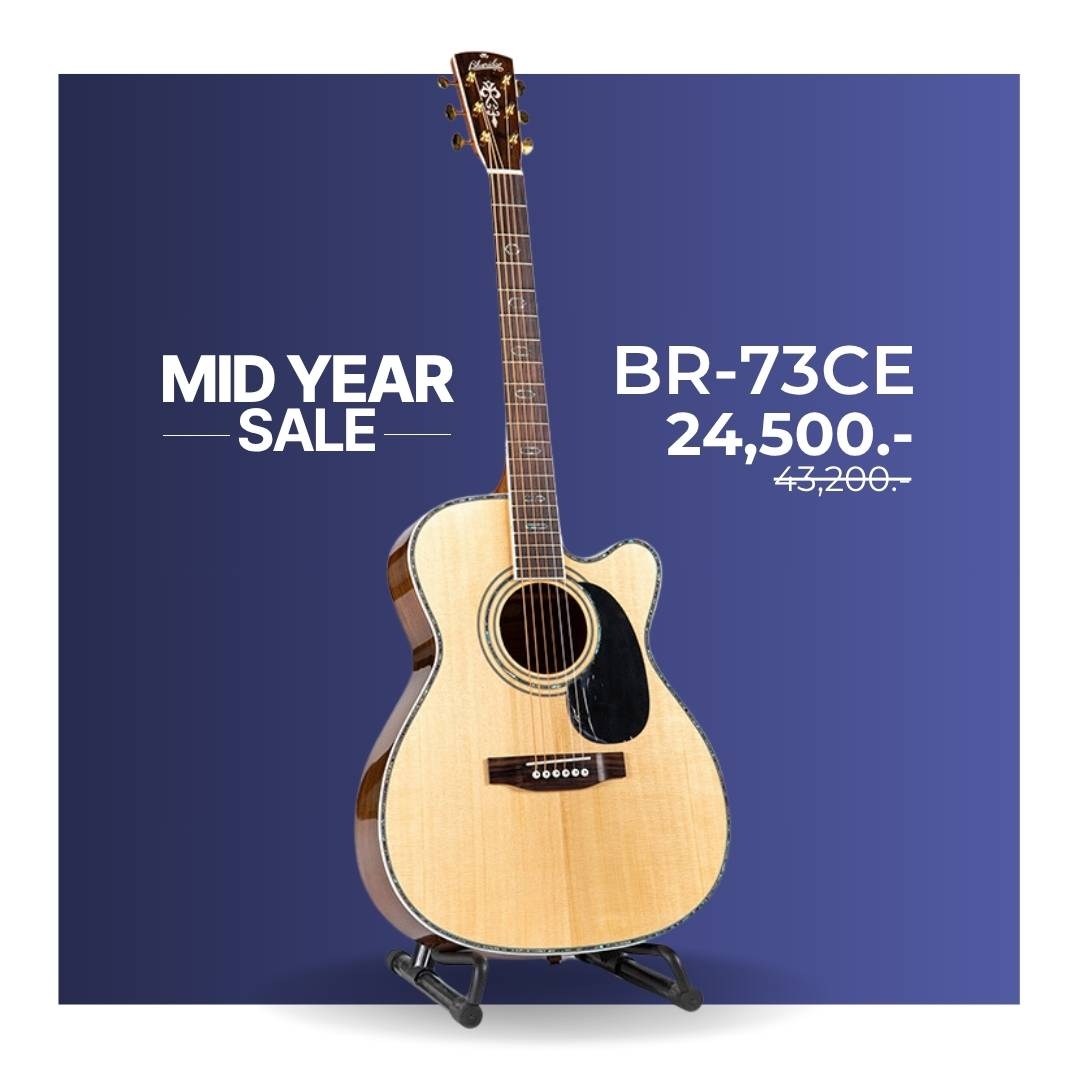 Blueridge BR-73CE