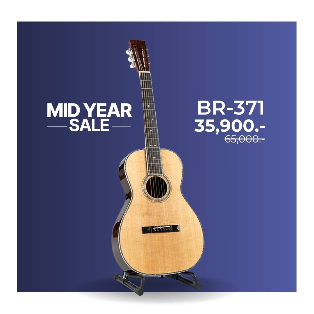 Blueridge BR-371 