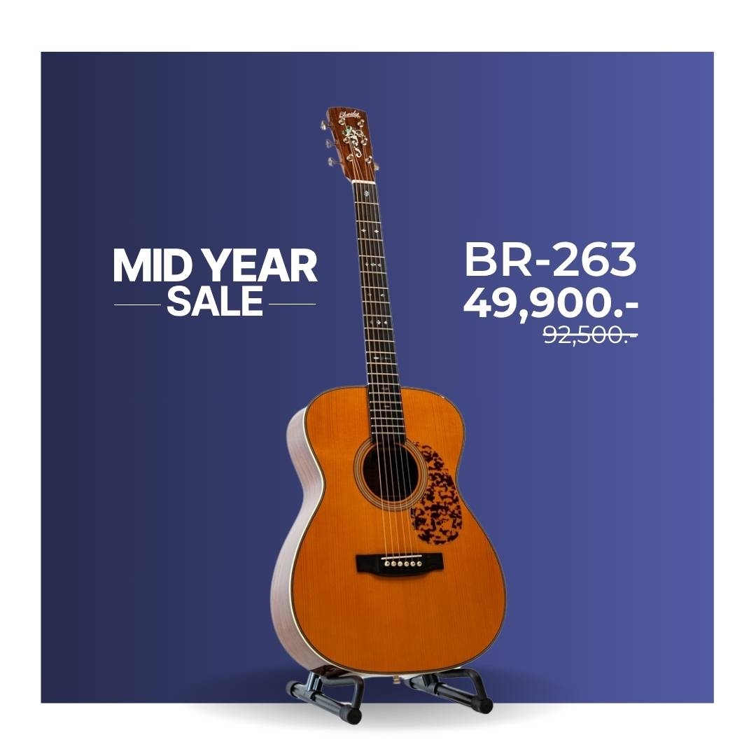 Blueridge BR-263