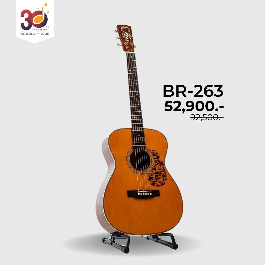 Blueridge BR-263