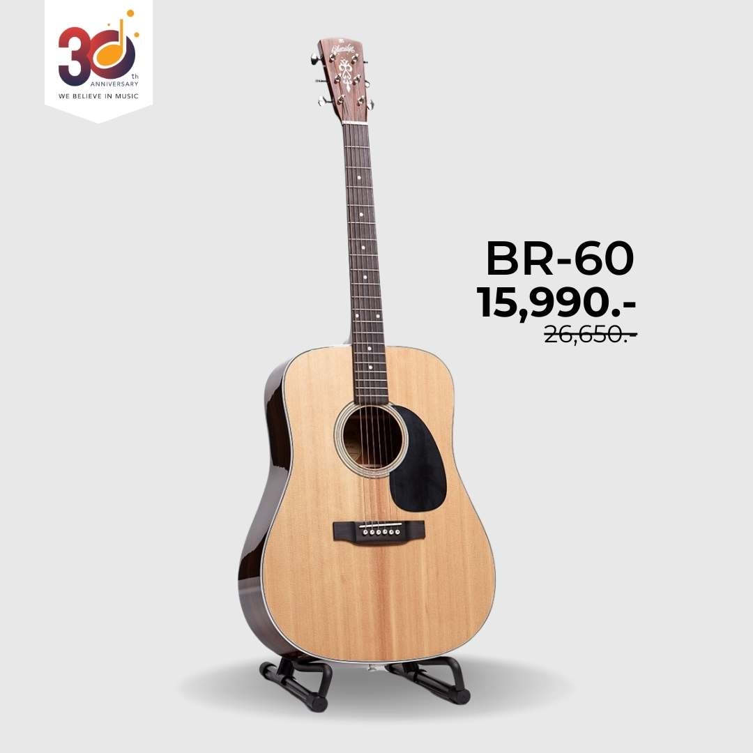 Blueridge BR-60 
