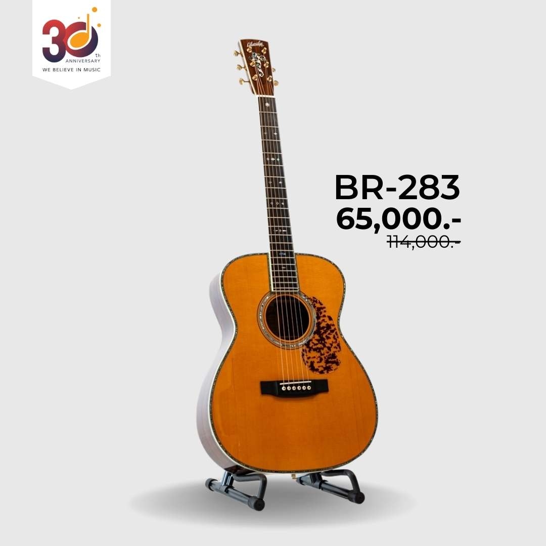 Blueridge BR-283