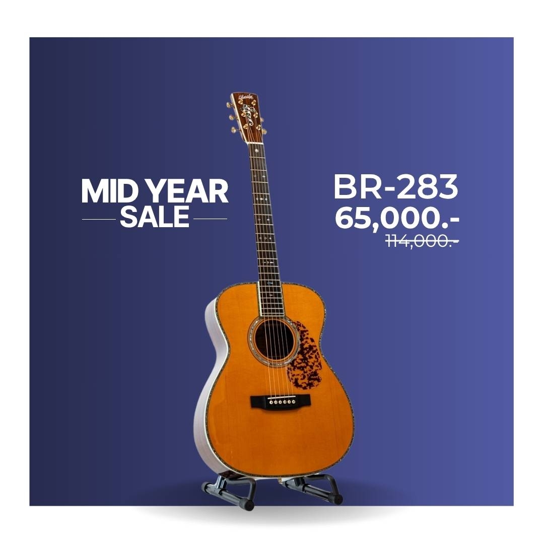 Blueridge BR-283