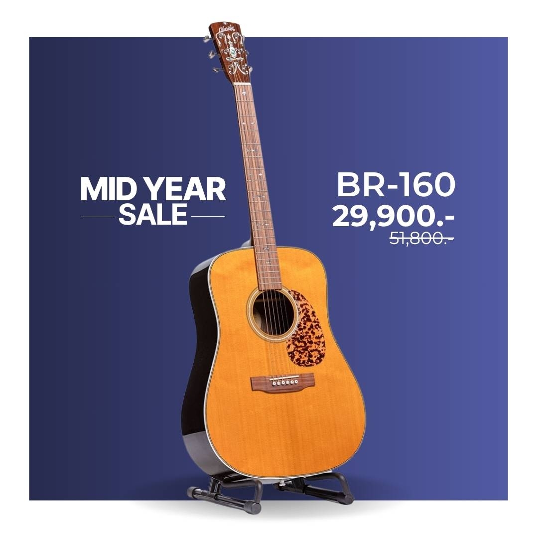 Blueridge BR-160