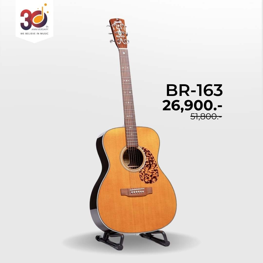 Blueridge BR-163