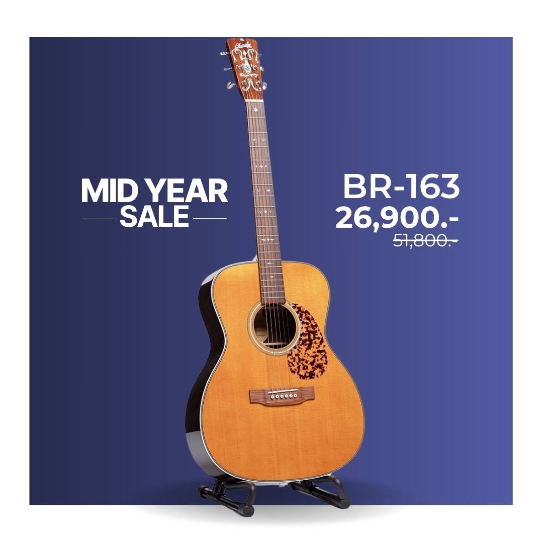 Blueridge BR-163