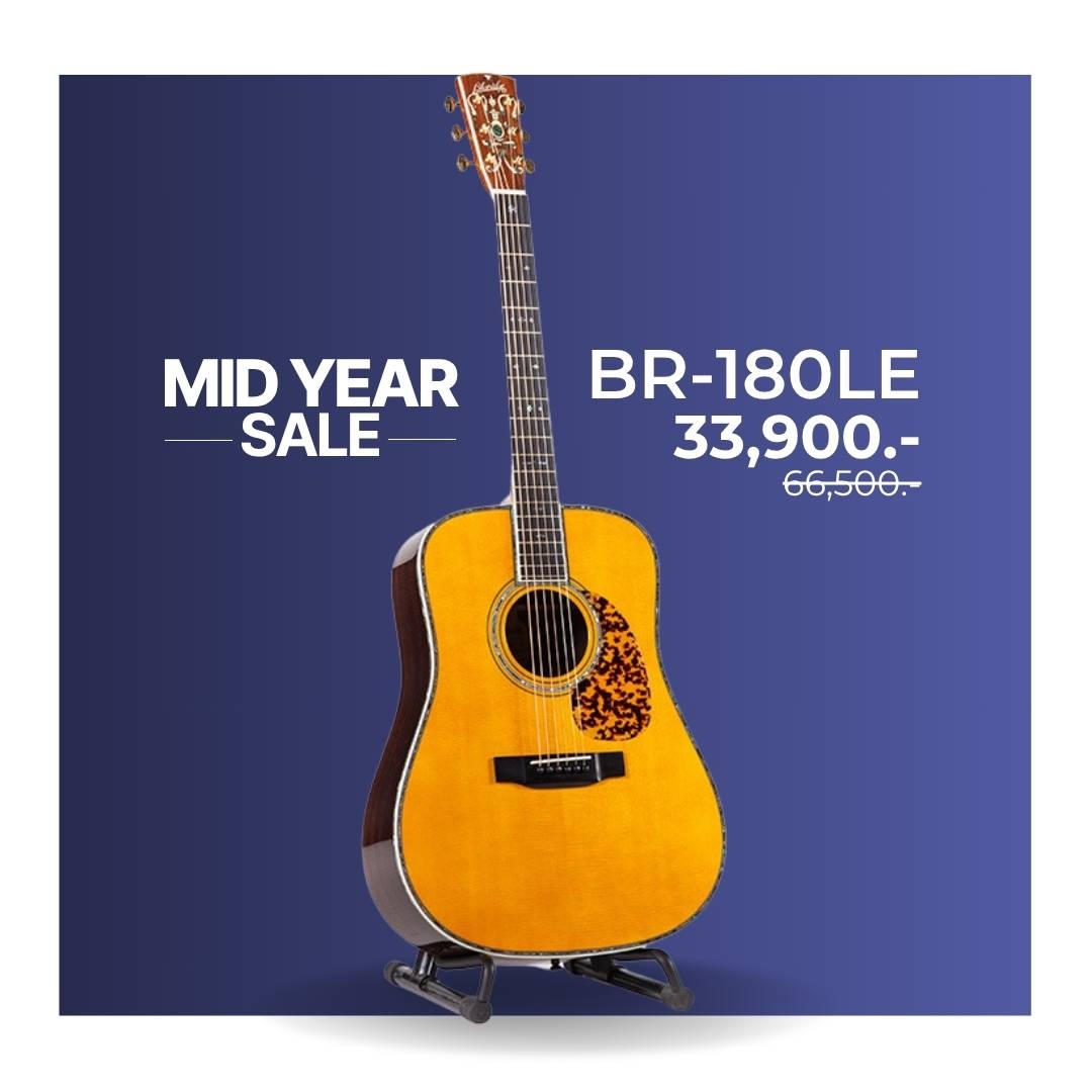 Blueridge BR-180LE 