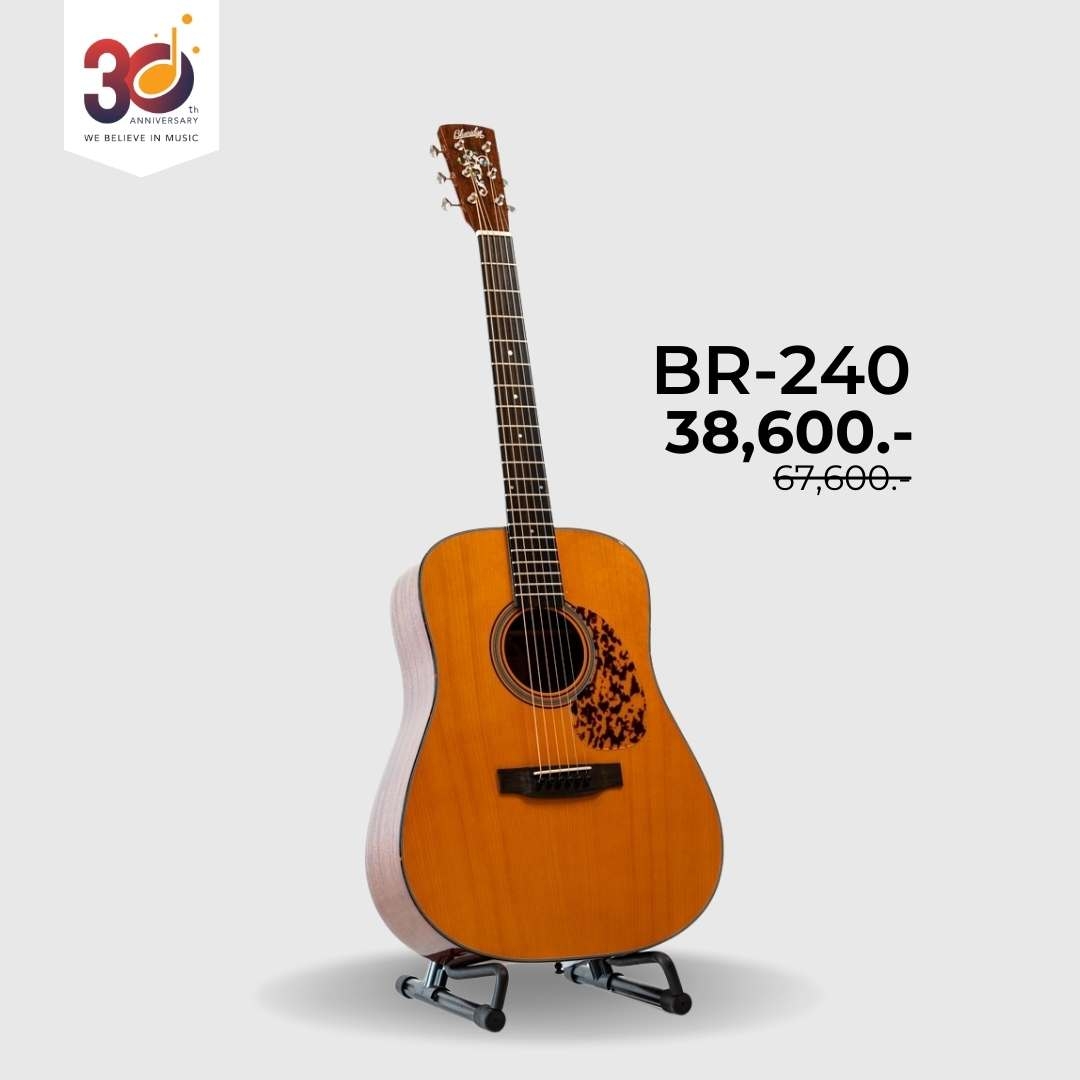 Blueridge BR-240 
