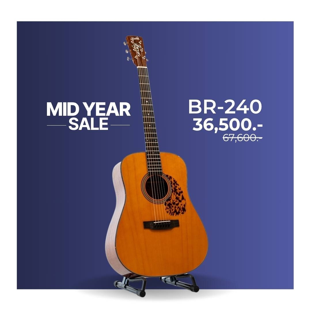 Blueridge BR-240 