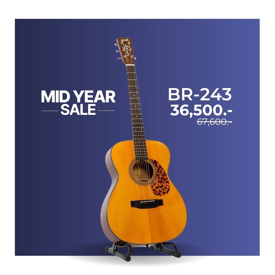 Blueridge BR-243 