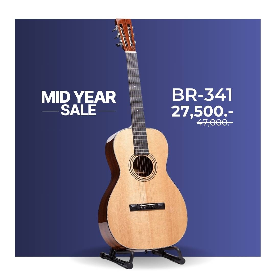Blueridge BR-341
