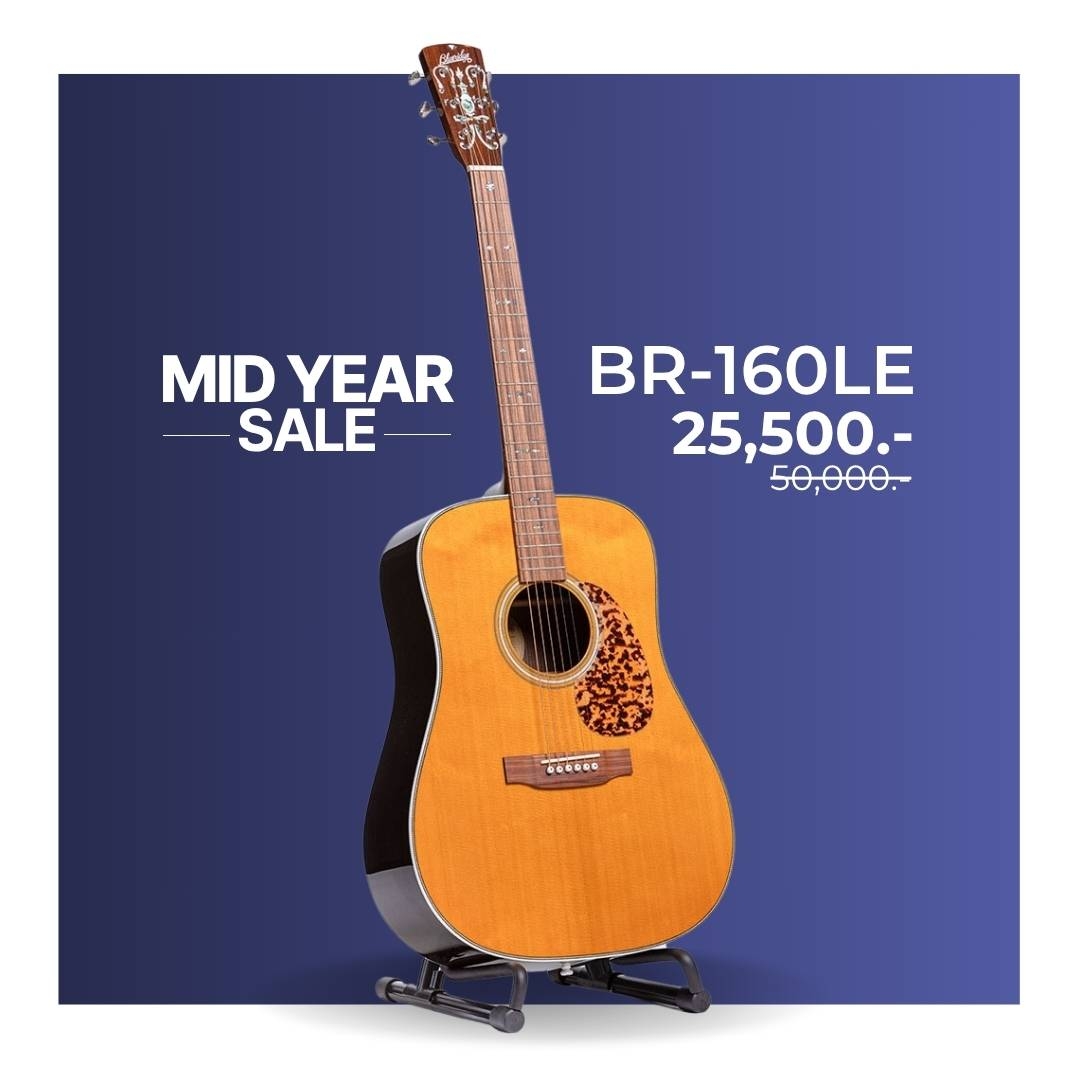 Blueridge BR-160LE